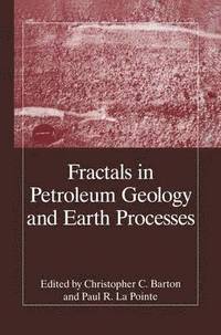 bokomslag Fractals in Petroleum Geology and Earth Processes