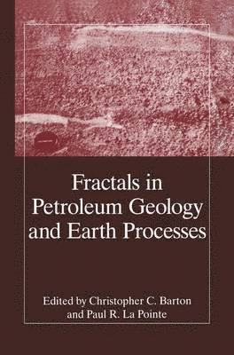 bokomslag Fractals in Petroleum Geology and Earth Processes