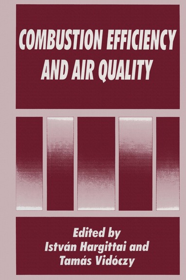 bokomslag Combustion Efficiency and Air Quality