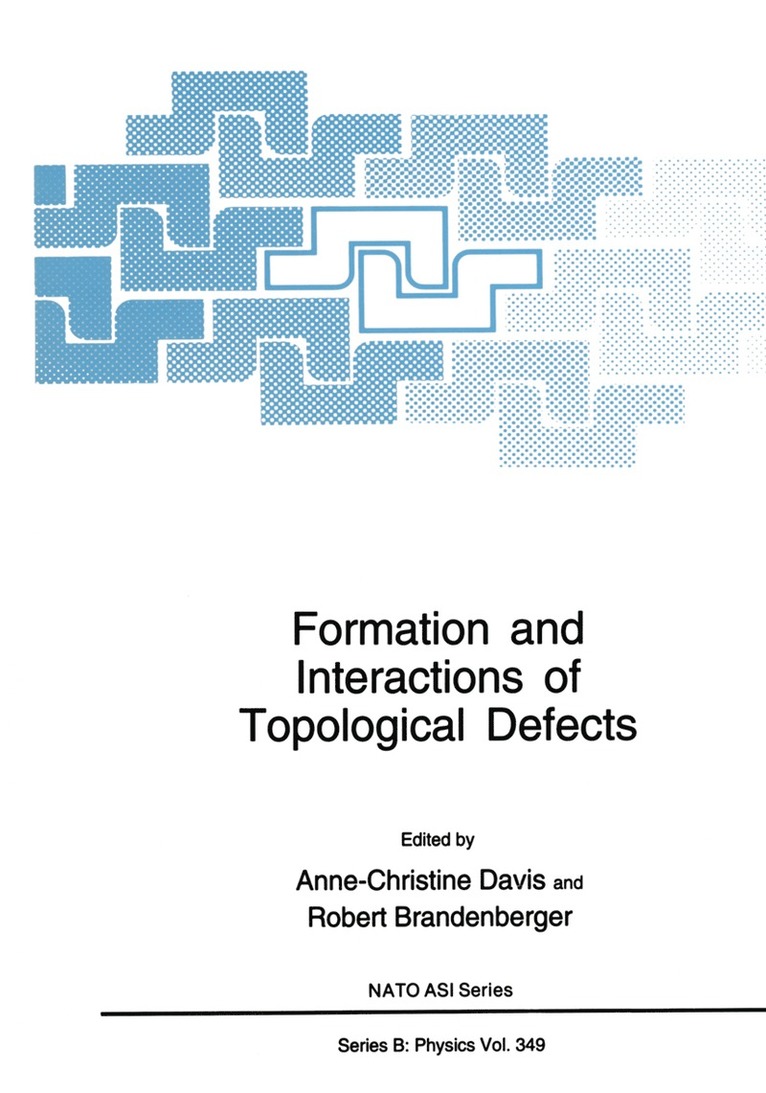 Anne-Christine Davis, Robert Brandenberger - Formation and Interactions of Topological Defects, Häftad