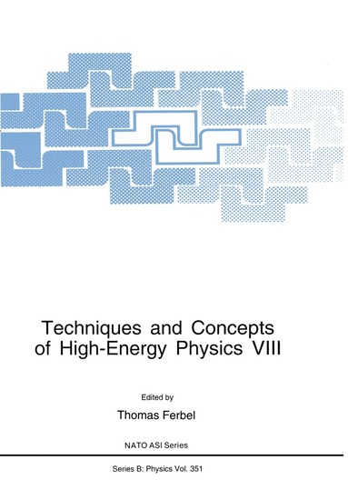 Thomas Ferbel - Techniques and Concepts of High-Energy Physics VIII, Häftad