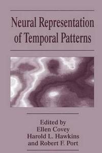 bokomslag Neural Representation of Temporal Patterns