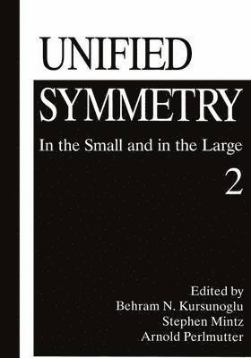 bokomslag Unified Symmetry