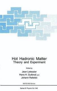 bokomslag Hot Hadronic Matter