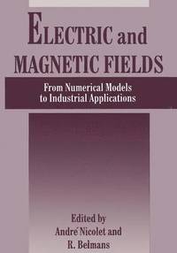 bokomslag Electric and Magnetic Fields