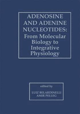 bokomslag Adenosine and Adenine Nucleotides: From Molecular Biology to Integrative Physiology