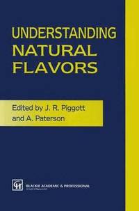 bokomslag Understanding Natural Flavors