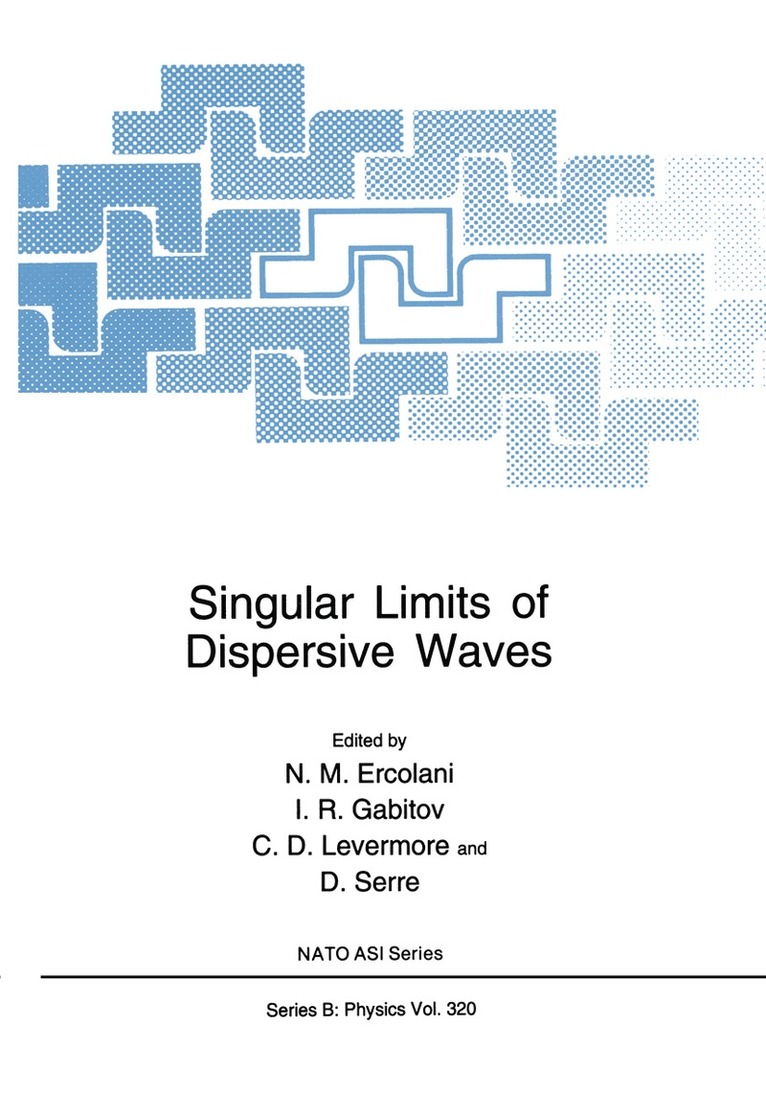 N.M. Ercolani, I.R. Gabitov, C.D. Levermore, D. Serre, N. M. Ercolani, I. R. Gabitov, C. D. Levermore - Singular Limits of Dispersive Waves, Häftad