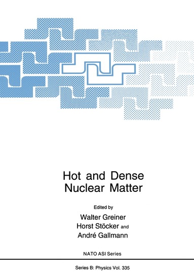Walter Greiner, Horst Stöcker, Andre Gallmann - Hot and Dense Nuclear Matter, Häftad