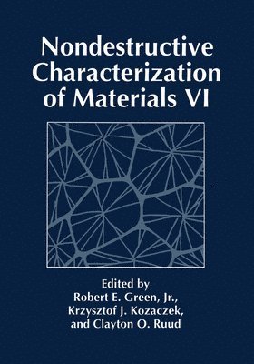 bokomslag Nondestructive Characterization of Materials VI