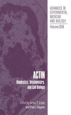 Actin 1