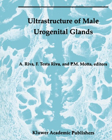 Allessandro Riva, Francesca Testa Riva, P. Motta - Ultrastructure of the Male Urogenital Glands, Häftad