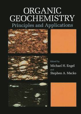 Organic Geochemistry