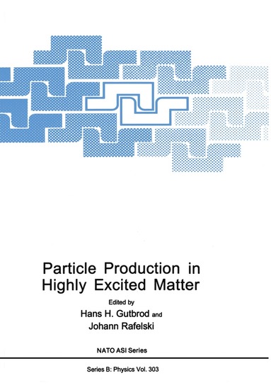 bokomslag Particle Production in Highly Excited Matter