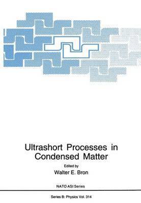 Walter E. Bron - Ultrashort Processes in Condensed Matter, Häftad