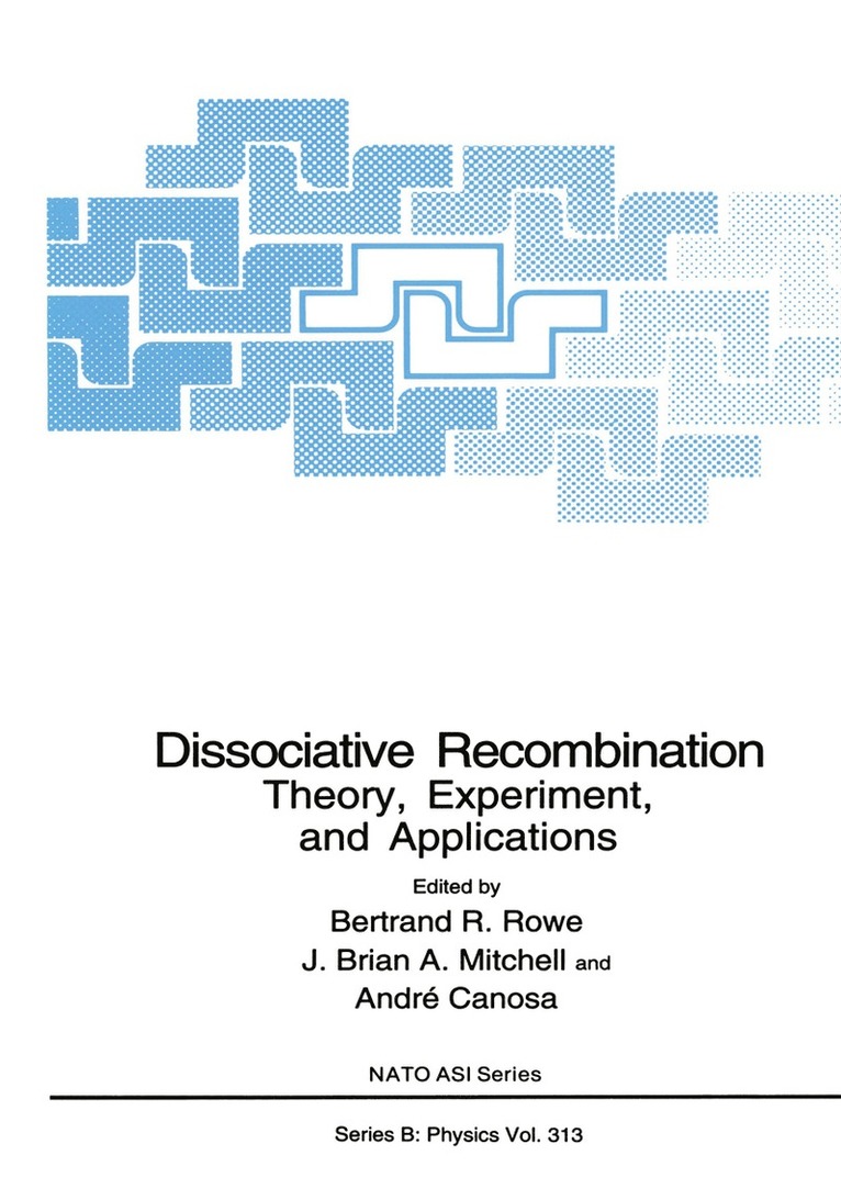 Bertrand R. Rowe, J. Brian A. Mitchell, André Canosa, J. Brian a. Mitchell, Bertrand R. Rowe, J. Brian a. Mitchell - Dissociative Recombination, Häftad