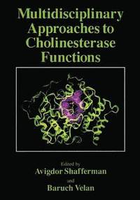 bokomslag Multidisciplinary Approaches to Cholinesterase Functions