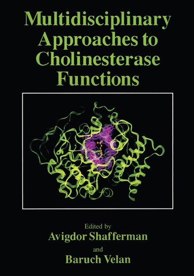 Avigdor Shafferman, B. Velan - Multidisciplinary Approaches to Cholinesterase Functions, Häftad