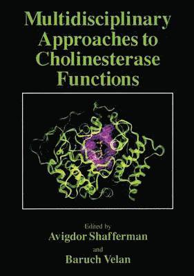 Multidisciplinary Approaches to Cholinesterase Functions 1