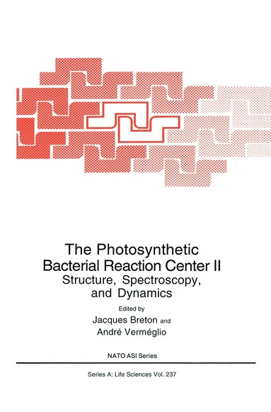 Jacques Breton, Andre Verméglio - Photosynthetic Bacterial Reaction Center II, Häftad