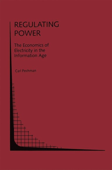 bokomslag Regulating Power: The Economics of Electrictiy in the Information Age