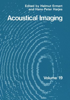 Acoustical Imaging 1