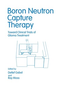 bokomslag Boron Neutron Capture Therapy