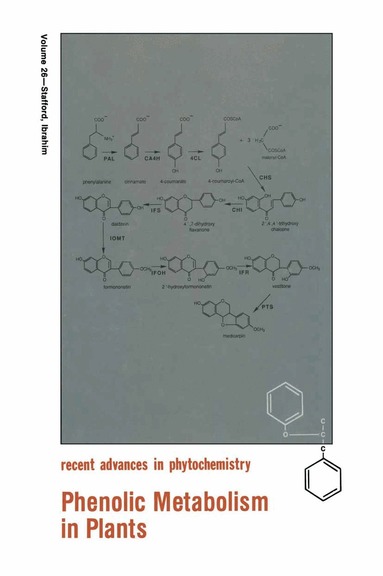Ragai K. Ibrahim, Helen A. Stafford - Phenolic Metabolism in Plants, Häftad