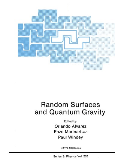 bokomslag Random Surfaces and Quantum Gravity