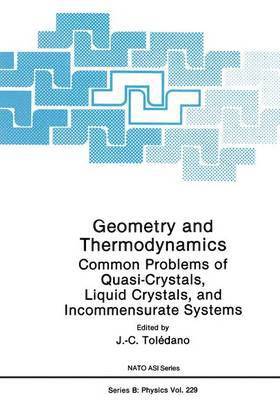 bokomslag Geometry and Thermodynamics