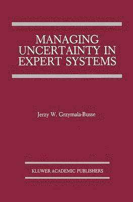 bokomslag Managing Uncertainty in Expert Systems