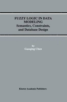 bokomslag Fuzzy Logic in Data Modeling