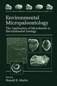 bokomslag Environmental Micropaleontology