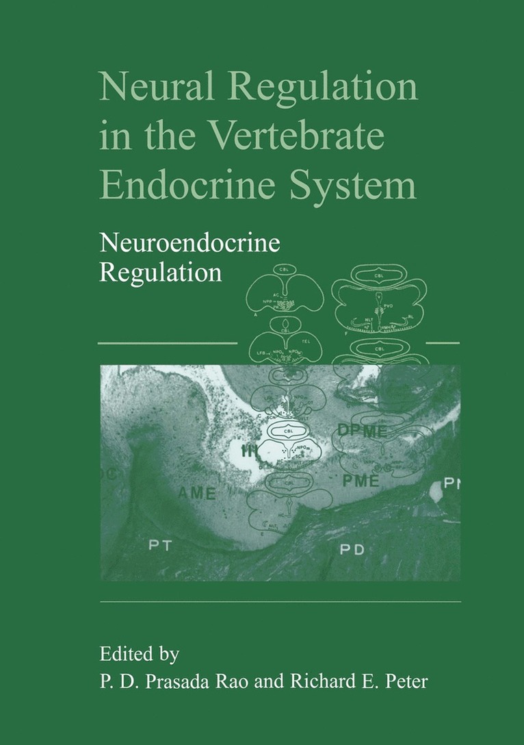 Dodla Sai Prasada Rao, Richard E. Peter - Neural Regulation in the Vertebrate Endocrine System, Häftad