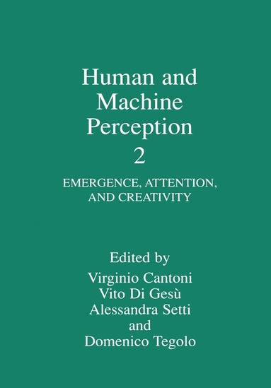 bokomslag Human and Machine Perception 2