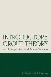 bokomslag Introductory Group Theory