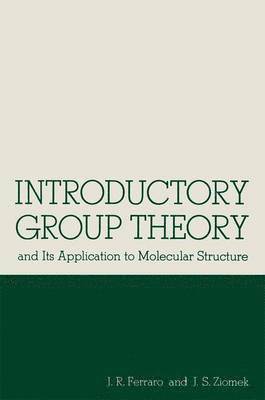 bokomslag Introductory Group Theory