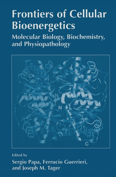 bokomslag Frontiers of Cellular Bioenergetics