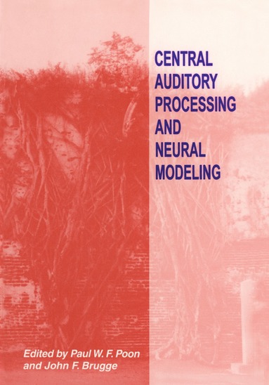 bokomslag Central Auditory Processing and Neural Modeling