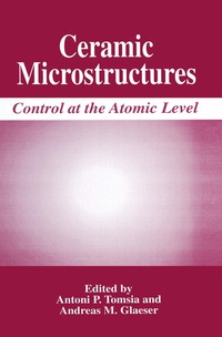 bokomslag Ceramic Microstructures