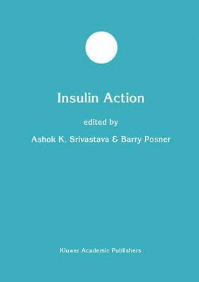 Insulin Action 1