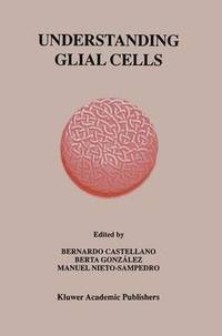 bokomslag Understanding Glial Cells