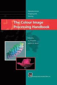 bokomslag The Colour Image Processing Handbook