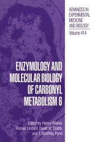 bokomslag Enzymology and Molecular Biology of Carbonyl Metabolism 6