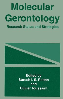 S.I. Rattan, Olivier Toussaint, S. I. Rattan - Molecular Gerontology, Häftad