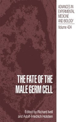 The Fate of the Male Germ Cell 1
