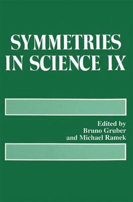 Bruno Gruber, Michael Ramek - Symmetries in Science IX, Häftad