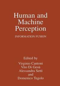 bokomslag Human and Machine Perception