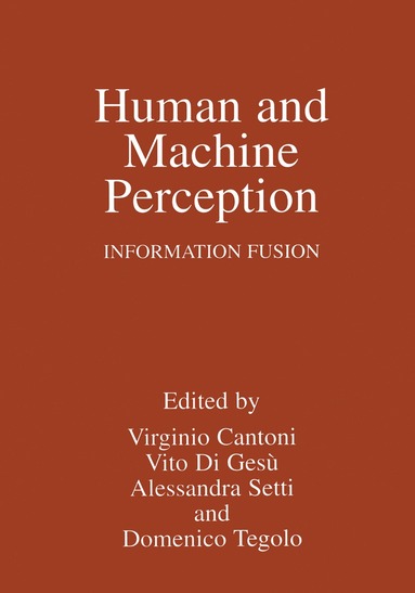 bokomslag Human and Machine Perception