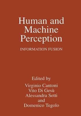 Human and Machine Perception 1